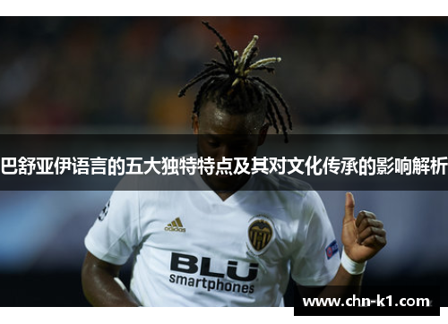 巴舒亚伊语言的五大独特特点及其对文化传承的影响解析