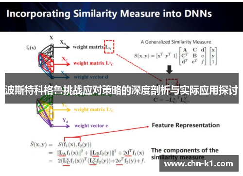 波斯特科格鲁挑战应对策略的深度剖析与实际应用探讨
