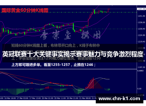 英冠联赛十大关键事实揭示赛事魅力与竞争激烈程度