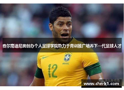 费尔南迪尼奥创办个人足球学院致力于青训推广培养下一代足球人才