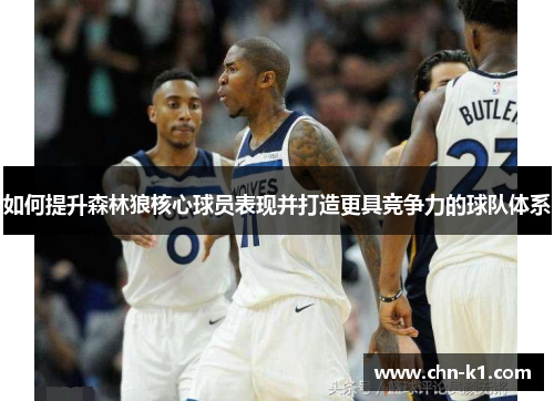 如何提升森林狼核心球员表现并打造更具竞争力的球队体系